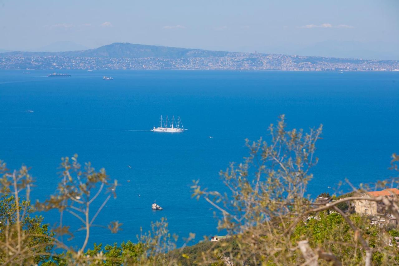 Villa Venus In Penisola Sorrentina Massa Lubrense Zewnętrze zdjęcie