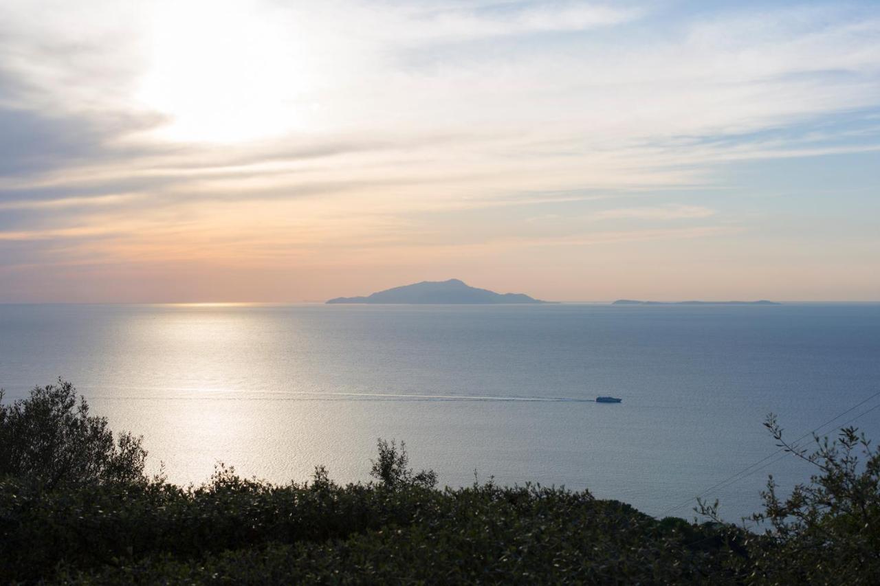 Villa Venus In Penisola Sorrentina Massa Lubrense Zewnętrze zdjęcie