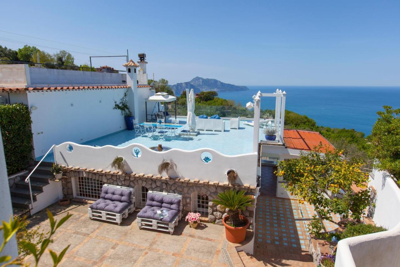 Villa Venus In Penisola Sorrentina Massa Lubrense Zewnętrze zdjęcie