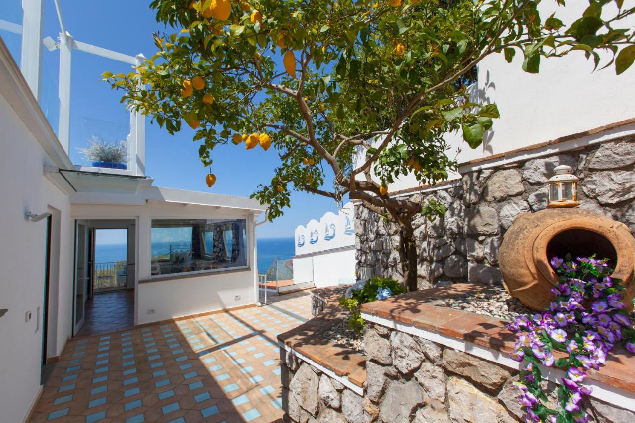 Villa Venus In Penisola Sorrentina Massa Lubrense Zewnętrze zdjęcie