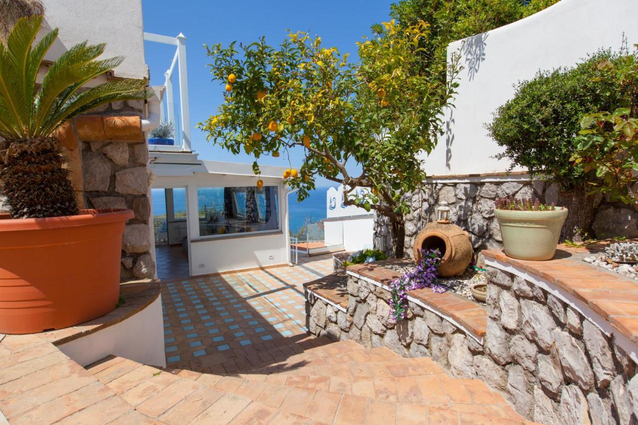 Villa Venus In Penisola Sorrentina Massa Lubrense Zewnętrze zdjęcie