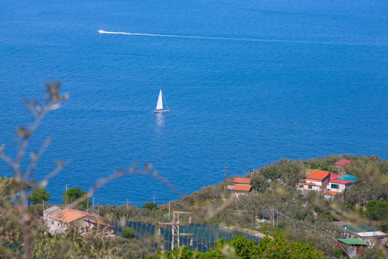 Villa Venus In Penisola Sorrentina Massa Lubrense Zewnętrze zdjęcie