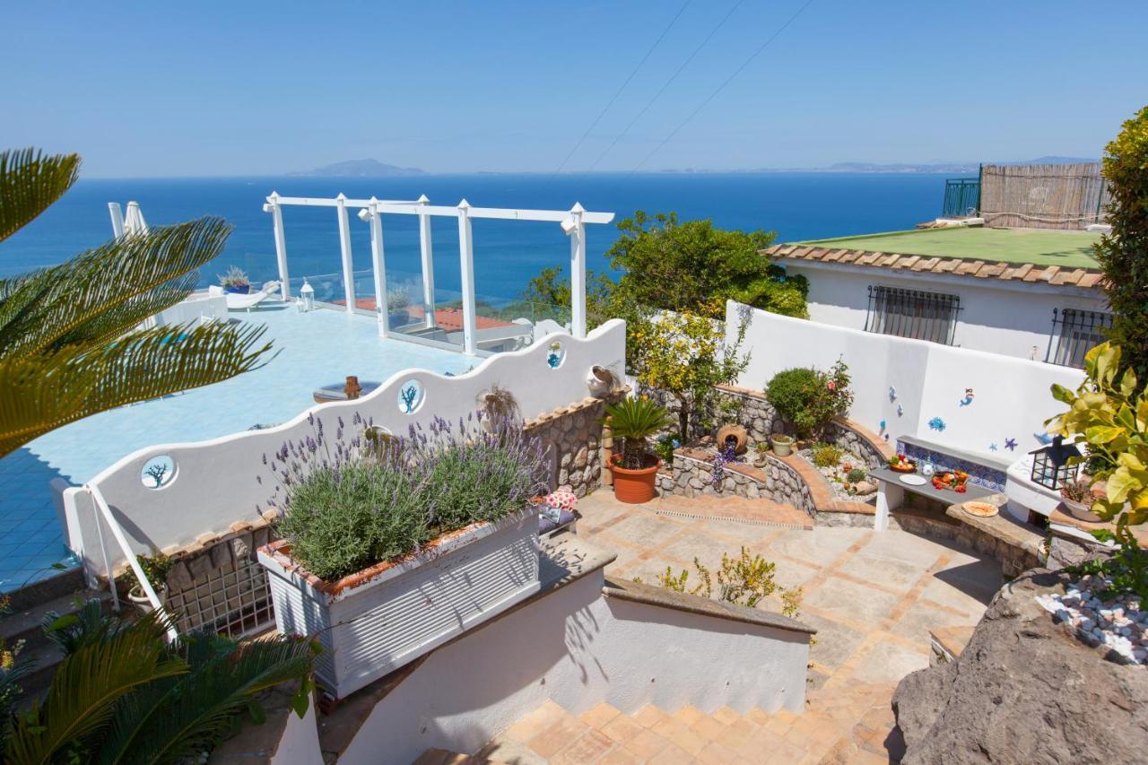 Villa Venus In Penisola Sorrentina Massa Lubrense Zewnętrze zdjęcie